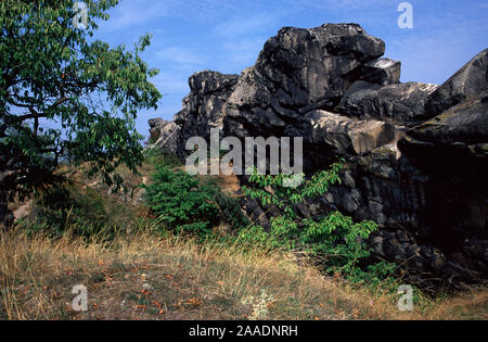 Bundesrepublik Deutschland, Sachsen-Anhalt, Teufelsmauer, Naturschutzgebiet zwischen Quedlinburg und Thale im Harz, erstes Naturschutzgebiet in Deutschl Stockfoto