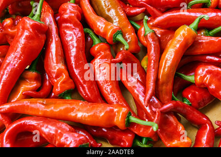 Red Hot Chili Peppers Muster Textur Hintergrund. Close Up. Landschaft. Eine Kulisse ofRed hot chili peppers. Straße Gemüsemarkt. Gruppe von Red Hot Stockfoto