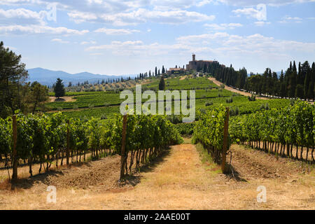 Ein Blick über die Weinberge des Schlosses von Poggio alle Mura/Castello Banfi/Banfi Schloss jetzt ein Boutique Hotel, Wein Museum und Weinberg Stockfoto