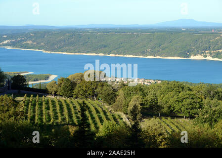 Weinberge, die bis an die Ufer des Sees führen Sainte-Croix Aiguines im Verdon Regional Park Var Provence Frankreich Stockfoto