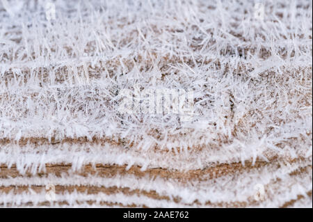 Raureif, Kaution Eiskristalle auf hölzernen Zaun an der freien Luft Beschichtung in Nadeln aus Eis, die Holzmaserung ausgesetzt Stockfoto