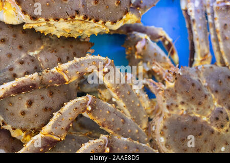 Kamtschatka Krabbe close-up. Große Krebse im Aquarium am Markt. Große Tentakel einer Krabbe. Krabbe close-up. Stockfoto