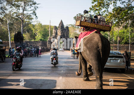 Touristen auf der Elefant in formt der Tonle Om Gate, South Gate Angkor Thom, Kambodscha, Asien. Stockfoto