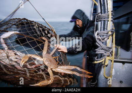 Krabbenfischer in der Beringsee - Alaska Stockfoto