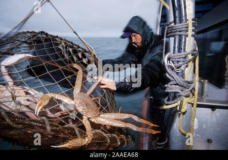 Krabbenfischer in der Beringsee - Alaska Stockfoto