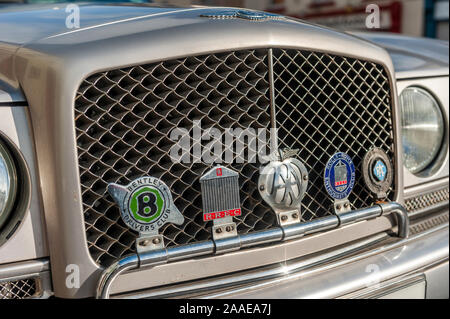 Kühlergrill eines Bentley Continental Luxuslimousine mit Abzeichen. Stockfoto