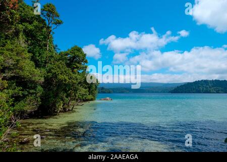 Lake Waikareiti zu Te Urewera, Hawkes Bay Region, North Island, Neuseeland Stockfoto