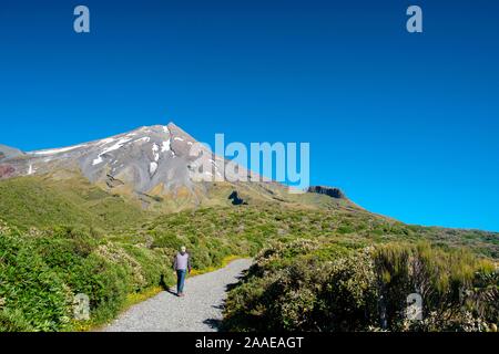 Menschen wandern in Mount Taranaki, Egmont National Park, in der Nähe von Stratford, Westküste von North Island, Neuseeland Stockfoto