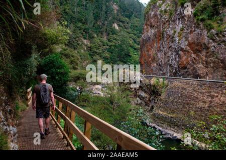 Wanderer zu Fuß entlang Karangahake Gorge Recreation Pfad auf dem Ohinemuri River, in der Nähe von Waihi, Bay of Plenty, North Island, Neuseeland Stockfoto