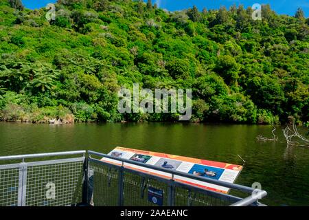 Untere Karori Reservoir in Zealandia, ein naturschutzprojekt und Attraktion ist der weltweit erste komplett eingezäunt urban Eco Heiligtum von 225 HA, Wellington, Neuseeland Stockfoto