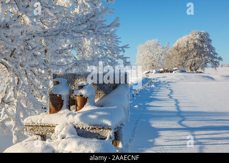 Milchkanne stand in einer schönen Winterlandschaft Stockfoto