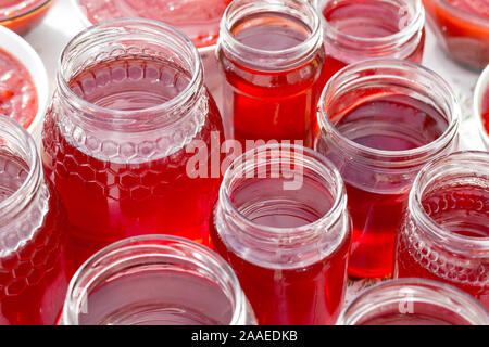 Quitten Gelee und Marmelade ein köstliches und typisch portugiesische, Winter süß. Stockfoto