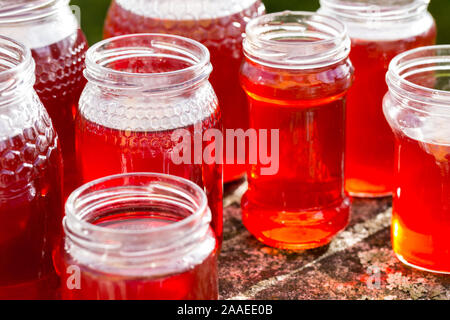 Quitten Gelee und Marmelade ein köstliches und typisch portugiesische, Winter süß. Stockfoto