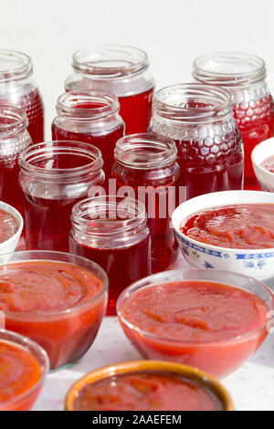 Quitten Gelee und Marmelade ein köstliches und typisch portugiesische, Winter süß. Stockfoto