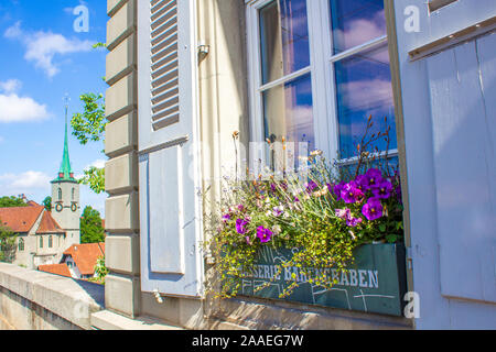 Blumen am Fenster. Blumen auf der Fensterbank in Bern. Stockfoto