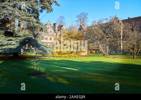 Aufgrund einer großen Innenhof am Trinity College der Universität Oxford, England, an einem sonnigen Wintertag. Stockfoto