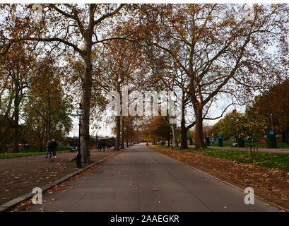 Ansicht der Serpentinenstraße, die zum See, im Hyde Park, London, England, UK, auf einem Herbsttag Ende Oktober 2019. Stockfoto