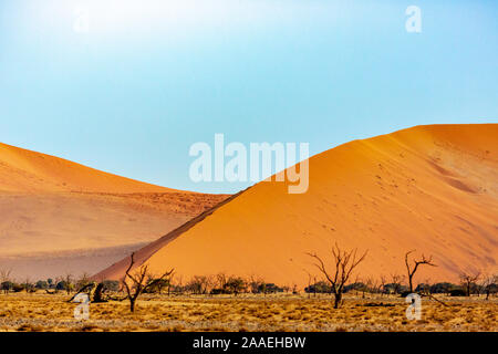 Düne 45 im Sossusvlei, Namibia, Afrika. Landschaft der Wüste Stockfoto