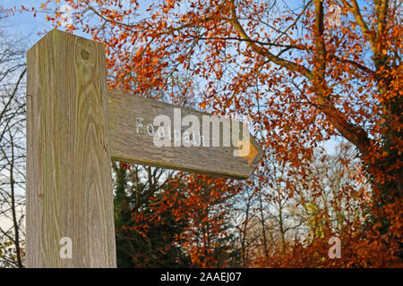 Fußweg fingerpost Schild mit Pfeil, im Herbst im Wald - wählen Sie einen erfrischenden Spaziergang, Grappenhall, Cheshire, WA4 3EP Stockfoto
