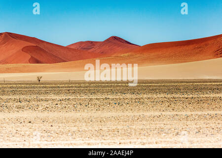 Rote Sanddünen im Deadvlei, Sossusvlei, Namib-Naukluft-Nationalpark, Namibia, Afrika Stockfoto