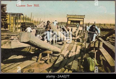 Illustrierte Postkarte von eine Gruppe chinesischer Arbeiter an einem Sägewerk arbeiten, Sägen von Holz durch Sägeböcken, China, durch Chrom, 1913 veröffentlicht unterstützt. Bearbeiten. Kingshill. Von der New York Public Library. () Stockfoto