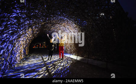 Haywards Heath UK 21. November 2019 - Besucher genießen die Weidentunnel am Wakehurst Glow Wilde Laterne Trail Weihnachtsveranstaltung in der Nähe von Haywards Heath in Sussex.in diesem Winter wird Wakehurst, Kews wilder botanischer Garten, mit seinem berühmten Winter Glow Wilde Laterne Trail zum Leben erweckt. Die Landschaft wird von Hunderten glühender Laternen, Feuerfackeln, Soundscapes und Projektionen sowie dem höchsten lebenden Weihnachtsbaum Großbritanniens, der mit 1900 Lichtern geschmückt ist, verwandelt. : Credit Simon Dack / Alamy Live News Stockfoto