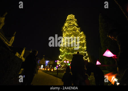 Haywards Heath UK 21. November 2019 - die Eröffnungsnacht und Medienfotoalle des Wakehurst Glow Wilde Laterne Trail in der Nähe von Haywards Heath in Sussex an diesem Abend. Diesen Winter wird Wakehurst, Kews wilder botanischer Garten, mit seinem berühmten Winter Glow Wild Laternenweg lebendig. Die Landschaft wird von Hunderten glühender Laternen, Feuerfackeln, Soundscapes und Projektionen sowie dem höchsten lebenden Weihnachtsbaum Großbritanniens, der mit 1900 Lichtern geschmückt ist, verwandelt. : Credit Simon Dack / Alamy Live News Stockfoto