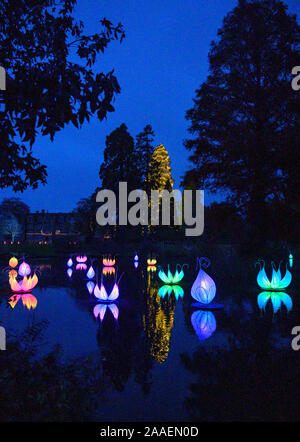 Haywards Heath UK November 2019 21 - Die öffnung Nacht und Medien fotoauftrag der Wakehurst Glow Wild Laterne Trail in der Nähe von Haywards Heath in Sussex an diesem Abend. In diesem Winter Wakehurst, die Kew wilden botanischen Garten, lebendig kommt mit seinem berühmten Winter leuchten Wilde Laterne Trail. Die Landschaft ist durch Hunderte von leuchtenden Laternen, Fackeln, Klangwelten und Projektionen C sowie der britischen höchste lebende Weihnachtsbaum, mit 1900 Lichtern geschmückt verwandelt. : Credit Simon Dack/Alamy leben Nachrichten Stockfoto