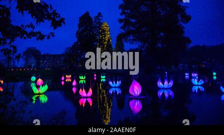 Haywards Heath UK 21. November 2019 - die Eröffnungsnacht und Medienfotoalle des Wakehurst Glow Wilde Laterne Trail in der Nähe von Haywards Heath in Sussex.in diesem Winter wird Wakehurst, Kews wilder botanischer Garten, mit seinem berühmten Winter Glow Wild Laternenpfad zum Leben erweckt. Die Landschaft wird von Hunderten glühender Laternen, Feuerfackeln, Soundscapes und Projektionen sowie dem höchsten lebenden Weihnachtsbaum Großbritanniens, der mit 1900 Lichtern geschmückt ist, verwandelt. : Credit Simon Dack / Alamy Live News Stockfoto