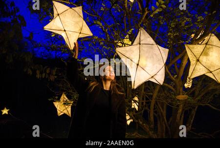 Haywards Heath UK 21. November 2019 - Besucher genießen den Wakehurst Glow Wilde Laterne Trail Weihnachtsveranstaltung in der Nähe von Haywards Heath in Sussex an diesem Abend.dieser Winter Wakehurst, Kews wilder botanischer Garten, wird mit seinem berühmten Winter Glow Wilde Laterne Trail lebendig. Die Landschaft wird von Hunderten glühender Laternen, Feuerfackeln, Soundscapes und Projektionen sowie dem höchsten lebenden Weihnachtsbaum Großbritanniens, der mit 1900 Lichtern geschmückt ist, verwandelt. : Credit Simon Dack / Alamy Live News Stockfoto