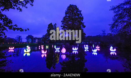 Haywards Heath UK 21. November 2019 - die Eröffnungsnacht und Medienfotoalle des Wakehurst Glow Wilde Laterne Trail in der Nähe von Haywards Heath in Sussex.in diesem Winter wird Wakehurst, Kews wilder botanischer Garten, mit seinem berühmten Winter Glow Wild Laternenpfad zum Leben erweckt. Die Landschaft wird von Hunderten glühender Laternen, Feuerfackeln, Soundscapes und Projektionen sowie dem höchsten lebenden Weihnachtsbaum Großbritanniens, der mit 1900 Lichtern geschmückt ist, verwandelt. : Credit Simon Dack / Alamy Live News Stockfoto