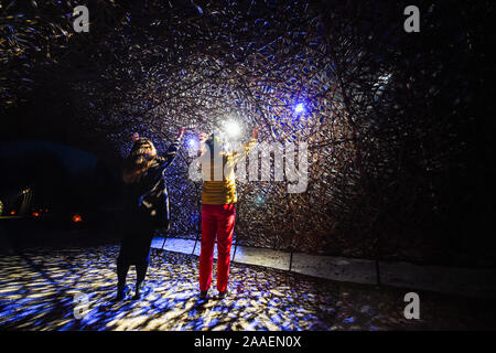 Haywards Heath UK November 2019 21 - Besucher der Willow Tunnel Wakehurst Glow Wild Laterne trail Weihnachtsfeier in der Nähe von Haywards Heath genießen in Sussex an diesem Abend. In diesem Winter Wakehurst, die Kew wilden botanischen Garten, lebendig kommt mit seinem berühmten Winter leuchten Wilde Laterne Trail. Die Landschaft ist durch Hunderte von leuchtenden Laternen, Fackeln, Klangwelten und Projektionen C sowie der britischen höchste lebende Weihnachtsbaum, mit 1900 Lichtern geschmückt verwandelt. : Credit Simon Dack/Alamy leben Nachrichten Stockfoto