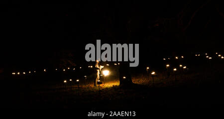 Haywards Heath UK 21. November 2019 - Mitarbeiter zünden an der Eröffnungsnacht des Wakehurst Glow Wilde Laterne Trail in der Nähe von Haywards Heath in Sussex an diesem Abend.in diesem Winter wird Wakehurst, Kews wilder botanischer Garten, mit seinem berühmten Winter Glow Wild Laternenpfad zum Leben erweckt. Die Landschaft wird von Hunderten glühender Laternen, Feuerfackeln, Soundscapes und Projektionen sowie dem höchsten lebenden Weihnachtsbaum Großbritanniens, der mit 1900 Lichtern geschmückt ist, verwandelt. : Credit Simon Dack / Alamy Live NewsNews Stockfoto