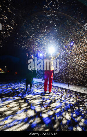 Haywards Heath UK 21. November 2019 - Besucher genießen die Weidentunnel am Wakehurst Glow Wilde Laterne Trail Weihnachtsveranstaltung in der Nähe von Haywards Heath in Sussex.in diesem Winter wird Wakehurst, Kews wilder botanischer Garten, mit seinem berühmten Winter Glow Wilde Laterne Trail zum Leben erweckt. Die Landschaft wird von Hunderten glühender Laternen, Feuerfackeln, Soundscapes und Projektionen sowie dem höchsten lebenden Weihnachtsbaum Großbritanniens, der mit 1900 Lichtern geschmückt ist, verwandelt. : Credit Simon Dack / Alamy Live News Stockfoto
