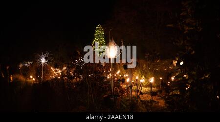 Haywards Heath UK 21. November 2019 - die Eröffnungsnacht des Wakehurst Glow Wilde Laterne Trail in der Nähe von Haywards Heath in Sussex an diesem Abend.dieser Winter Wakehurst, KewÕs wilden botanischen Garten, wird mit seinem berühmten Winter Glow Wilde Laterne Trail lebendig. Die Landschaft wird von Hunderten von leuchtenden Laternen, Feuerfackeln, Soundscapes und Projektionen sowie dem UKÕs höchsten lebenden Weihnachtsbaum verwandelt, der mit 1900 Lichtern geschmückt ist. : Credit Simon Dack / Alamy Live News Stockfoto