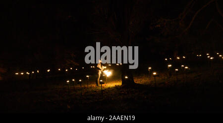 Haywards Heath Großbritannien 21. November 2019 - Personal Licht Fackeln in der Eröffnungsnacht des Wakehurst Glow Wild Laterne Trail in der Nähe von Haywards Heath in Sussex an diesem Abend. In diesem Winter Wakehurst, KewÕs wilden botanischen Garten, lebendig kommt mit seinem berühmten Winter leuchten Wilde Laterne Trail. Die Landschaft ist durch Hunderte von leuchtenden Laternen, Fackeln, Klangwelten und Projektionen C sowie der UKÕs höchste lebende Weihnachtsbaum, mit 1900 Lichtern geschmückt verwandelt. : Credit Simon Dack/Alamy leben Nachrichten Stockfoto