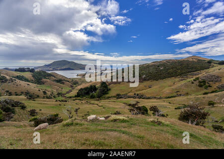 Die Otago Halbinsel New Zealand Stockfoto