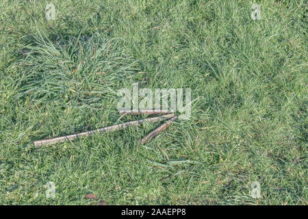 Survival skills Konzept. Methode der Signalgebung 'auf diese Weise' / 'Verfahren in diese Richtung' Richtung der persönlichen Bewegung oder Position zu zeigen. Stockfoto