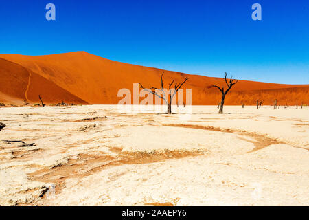 Tote Camelthorn Bäume gegen die roten Dünen und blauer Himmel in Deadvlei, Sossusvlei. Namib-Naukluft-Nationalpark, Namibia, Afrika Stockfoto