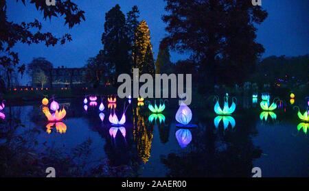 Haywards Heath UK November 2019 21 - Die öffnung Nacht und Medien fotoauftrag der Wakehurst Glow Wild Laterne Trail in der Nähe von Haywards Heath in Sussex an diesem Abend. In diesem Winter Wakehurst, die Kew wilden botanischen Garten, lebendig kommt mit seinem berühmten Winter leuchten Wilde Laterne Trail. Die Landschaft ist durch Hunderte von leuchtenden Laternen, Fackeln, Klangwelten und Projektionen C sowie der britischen höchste lebende Weihnachtsbaum, mit 1900 Lichtern geschmückt verwandelt. : Credit Simon Dack/Alamy leben Nachrichten Stockfoto
