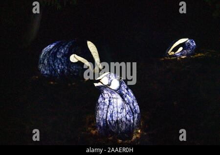 Haywards Heath UK 21. November 2019 - die Eröffnungsnacht des Wakehurst Glow Wilde Laterne Trail in der Nähe von Haywards Heath in Sussex an diesem Abend wird Wakehurst, Kews wilder botanischer Garten, mit seinem berühmten Winter Glow Wilde Laterne Trail zum Leben erweckt. Die Landschaft wird von Hunderten glühender Laternen, Feuerfackeln, Soundscapes und Projektionen sowie dem höchsten lebenden Weihnachtsbaum Großbritanniens, der mit 1900 Lichtern geschmückt ist, verwandelt. : Credit Simon Dack / Alamy Live News Stockfoto