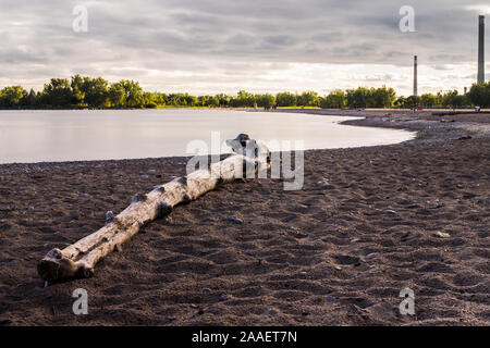 Treibholz am Strand Stockfoto
