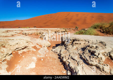 Rote Sanddünen im Deadvlei, Sossusvlei, Namib-Naukluft-Nationalpark, Namibia, Afrika Stockfoto