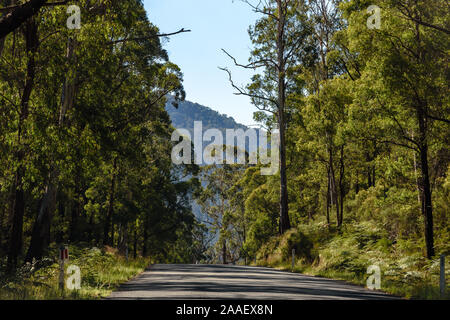 Der alpine Weg schlängelt sich durch die verschneiten Berge von Australien im Sommer Stockfoto