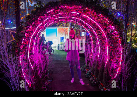 London, Großbritannien. Nov, 2019 21. Die festliche Dachgarten bei John Lewis am Abend die Weihnachtsbeleuchtung sind auf auf der Oxford Street. Credit: Guy Bell/Alamy leben Nachrichten Stockfoto