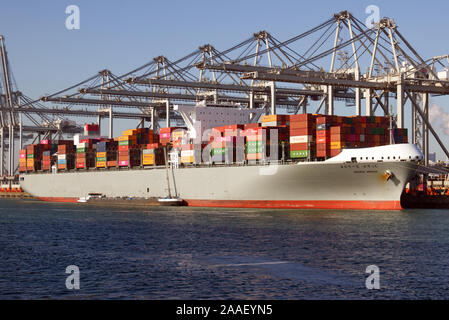 Das containerschiff Madrid Brücke wird geladen und im Rotterdamer Hafen entladen am 30. Oktober 2019. Stockfoto