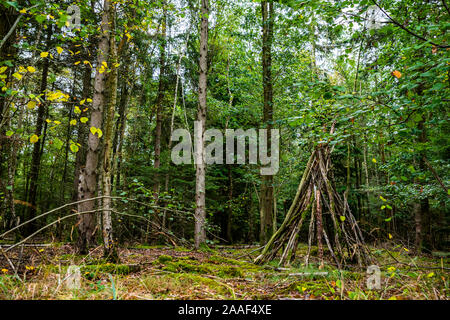 Bush craft/Überleben Unterschlupf: Primitive Bau von Unterkünften in einem wilden Wald Umwelt. Ein grundlegender Schutz im Notfall. Lustige Aktivität. Stockfoto
