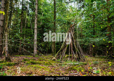 Bush craft/Überleben Unterschlupf: Primitive Bau von Unterkünften in einem wilden Wald Umwelt. Ein grundlegender Schutz im Notfall. Lustige Aktivität. Stockfoto