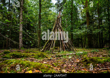 Bush craft/Überleben Unterschlupf: Primitive Bau von Unterkünften in einem wilden Wald Umwelt. Ein grundlegender Schutz im Notfall. Lustige Aktivität. Stockfoto