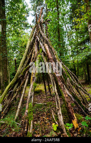 Bush craft/Überleben Unterschlupf: Primitive Bau von Unterkünften in einem wilden Wald Umwelt. Ein grundlegender Schutz im Notfall. Lustige Aktivität. Stockfoto